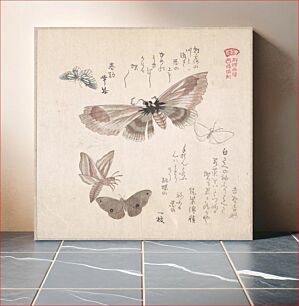 Πίνακας, Various Moths and Butterflies by Kubo Shunman