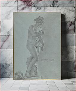 Πίνακας, Venus de' Medici; view from the front