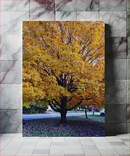Πίνακας, Vibrant Autumn Tree Ζωντανό φθινοπωρινό δέντρο