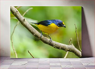 Πίνακας, Vibrant Bird on a Branch Ζωντανό πουλί σε ένα κλαδί