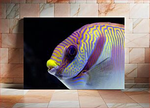 Πίνακας, Vibrant Fish in Aquarium Ζωντανά ψάρια στο ενυδρείο