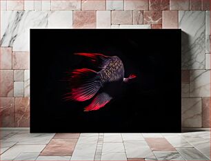 Πίνακας, Vibrant Fish in the Dark Ζωντανά ψάρια στο σκοτάδι