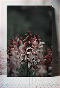 Πίνακας, Vibrant Flowers in Focus Ζωντανά λουλούδια στο επίκεντρο