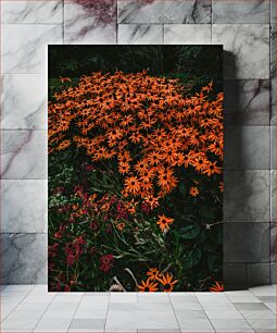 Πίνακας, Vibrant Garden Flowers Ζωντανά λουλούδια κήπου