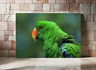 Πίνακας, Vibrant Green Parrot Ζωντανός πράσινος παπαγάλος