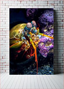 Πίνακας, Vibrant Mantis Shrimp Ζωντανές γαρίδες Mantis
