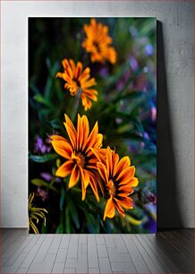 Πίνακας, Vibrant Orange Flowers Ζωντανά πορτοκαλί λουλούδια