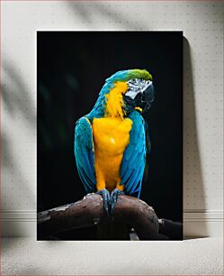 Πίνακας, Vibrant Parrot Ζωντανός παπαγάλος