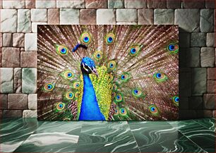 Πίνακας, Vibrant Peacock Display Ζωντανή οθόνη παγωνιού