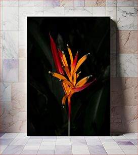 Πίνακας, Vibrant Tropical Flower Δονούμενο τροπικό λουλούδι