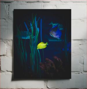 Πίνακας, Vibrant Underwater Scene Ζωντανή υποβρύχια σκηνή