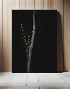 Πίνακας, Vibrant Vines on Tree in Darkness Ζωντανά αμπέλια σε δέντρο στο σκοτάδι