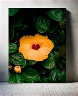 Πίνακας, Vibrant Yellow Flower Ζωντανό κίτρινο λουλούδι