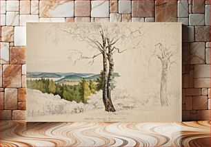 Πίνακας, View from jaakkima parsonage over the lake laatokka ; unfinished, 1860, Magnus Von Wright