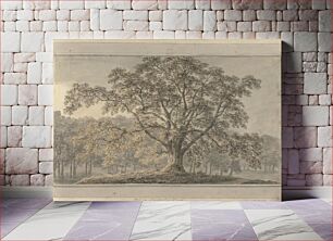 Πίνακας, Views in England, Scotland and Wales: Ash in Londesbro Park, May 1800