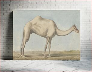 Πίνακας, Views in the Levant: A Camel