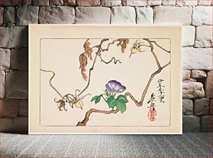 Πίνακας, Vine and Seeds of Morning Glory (1877) in high resolution by Shibata Zeshin
