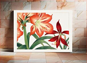 Πίνακας, Vintage amaryllis flower, ukiyo e artwork