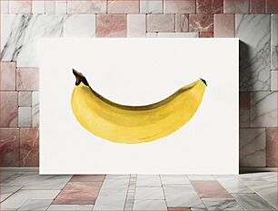 Πίνακας, Vintage banana illustration