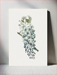 Πίνακας, Vintage blue Chinese wisteria flower