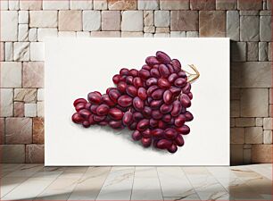 Πίνακας, Vintage bunch of purple grapes illustration