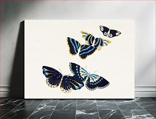 Πίνακας, Vintage butterfly