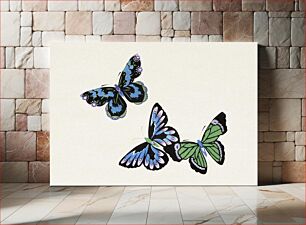 Πίνακας, Vintage butterfly