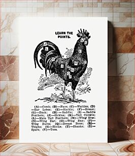 Πίνακας, Vintage chicken drawing. The Open Door to Independence (1915) by Thomas E. Hill