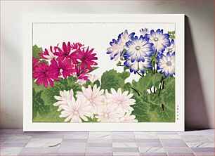 Πίνακας, Vintage cineraria flower, ukiyo e artwork