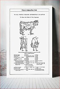 Πίνακας, Vintage cow anatomy drawing. The Open Door to Independence (1915) by Thomas E. Hill