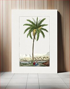 Πίνακας, Vintage date palm tree