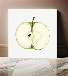Πίνακας, Vintage green apple illustration