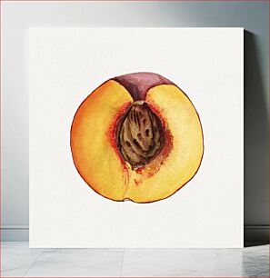 Πίνακας, Vintage halved peach illustration