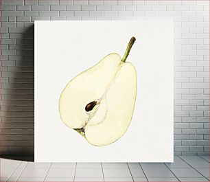 Πίνακας, Vintage halved pear illustration