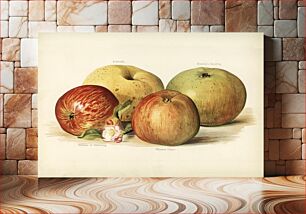 Πίνακας, Vintage illustration of apple The Fruit Grower's Guide (1891) by John Wright