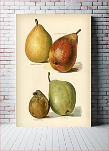 Πίνακας, Vintage illustration of pear The Fruit Grower's Guide (1891) by John Wright