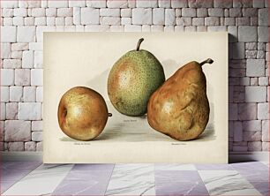 Πίνακας, Vintage illustration of pears The Fruit Grower's Guide (1891) by John Wright