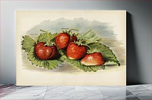 Πίνακας, Vintage illustration of strawberry The Fruit Grower's Guide (1891) by John Wright