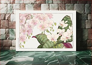 Πίνακας, Vintage orchid flower, ukiyo e artwork