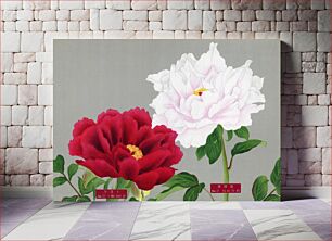 Πίνακας, Vintage peony flowers in white & red, print from The Picture Book of Peonies by the Niigata Prefecture, Japan