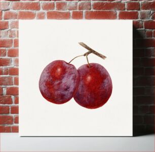 Πίνακας, Vintage plums illustration