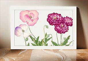 Πίνακας, Vintage poppy flower, ukiyo e artwork