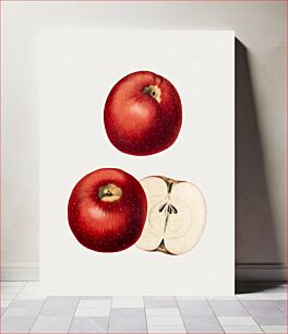 Πίνακας, Vintage red apples