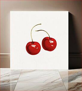 Πίνακας, Vintage red cherries illustration