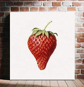 Πίνακας, Vintage strawberry illustration