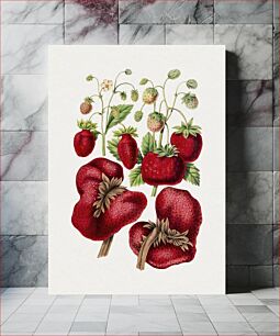 Πίνακας, Vintage strawberry