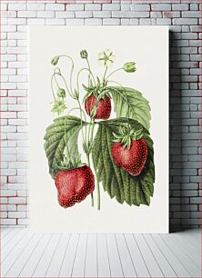 Πίνακας, Vintage strawberry