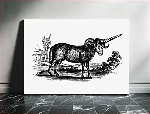 Πίνακας, Vintage Victorian style goat engraving
