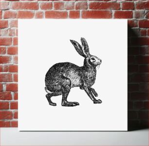 Πίνακας, Vintage Victorian style rabbit engraving