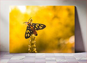 Πίνακας, Vivid Moth in Yellow Field Ζωηρός σκόρος σε κίτρινο πεδίο